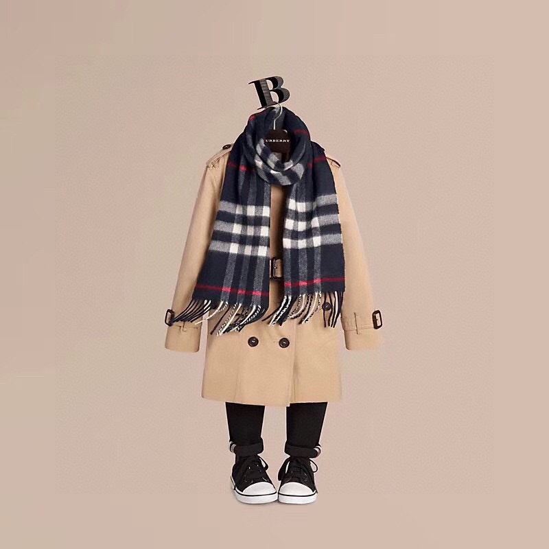 Burberry Scarf